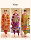 Ziana Vol 1 By Radhika Dola Silk With Position Printed Kurti With Bottom Dupatta Wholesale In India